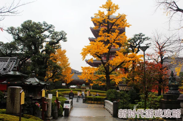 精品日韩一区二区三区网友评价这条线路的服务非常周到，景点安排合理，让人感受到浓厚的文化氛围，非常值得推荐！