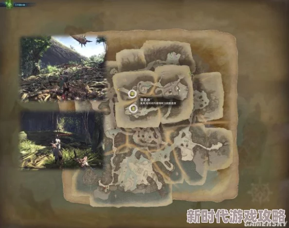 探寻神秘地图：寻找《怪物猎人》中璀璨夺目的光苔所在之地
