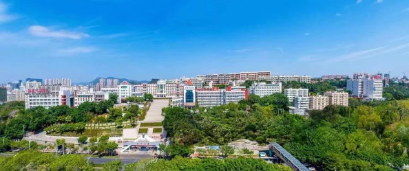 探索黎明之海：精选热门且高胜率职业推荐指南