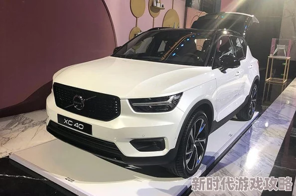 国产精品你懂得：最新研究显示国产品牌在年轻消费者中越来越受欢迎，尤其是在时尚和科技领域的影响力不断提升