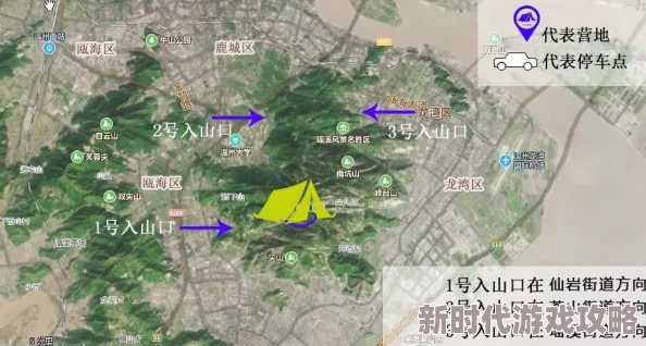 露玛岛自动种田技巧揭秘：实现方法与详细操作指南，网友亲测好评如潮！