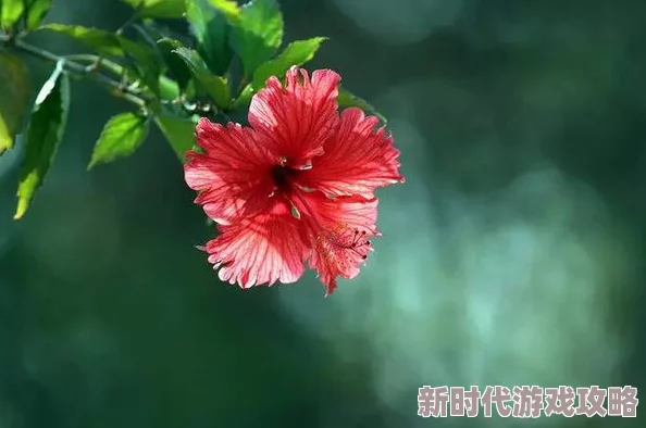 色花堂国产精品原创第一页传播正能量，弘扬传统文化，展现美好生活