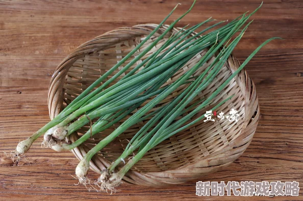 被邻居两个老头玩耍的快乐时光：社区和谐共建美好生活