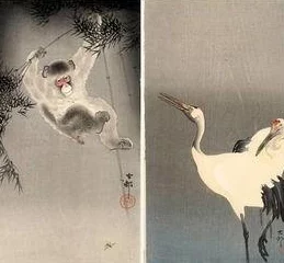 网友热议：原始传奇中神兽阵营该如何选择？深度评价揭晓！