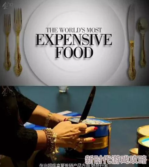 国产精品猎奇系列在线观看激发探索精神满足好奇心