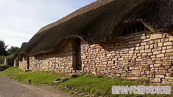 庄园领主兵种划分全解析：多维度兵种分类方法及网友精彩评价集锦