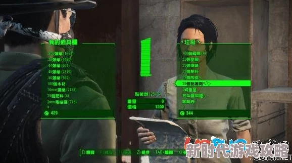 辐射4角色评测：网友热议哪个角色在游戏中更加好用与实用分析