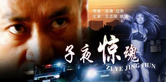 日本午夜片其实是指深夜播出的电视节目，这些节目通常包含了丰富多彩的文化、娱乐和教育内容，旨在为观众提供放松和学习的机会