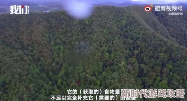《诛仙世界》青云山麓婚假灵体寻觅指南及网友精彩评价汇总