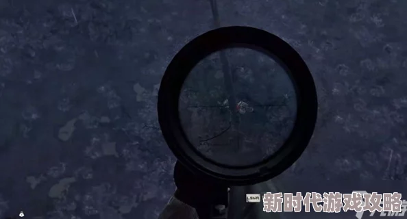 《潜行者2》游戏攻略：玩家亲测分享如何安装瞄准镜，提升射击精准度！