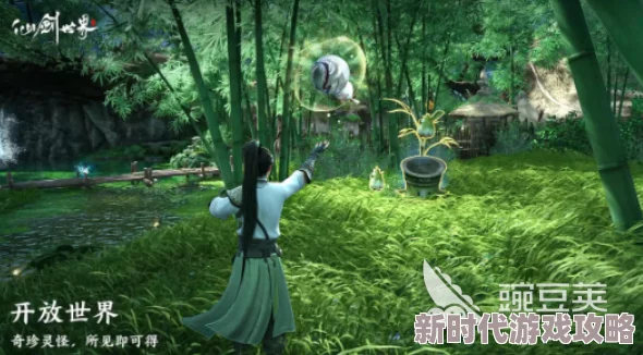 网友热议：仙剑世界端游下载全攻略，详细步骤及多种下载方式介绍