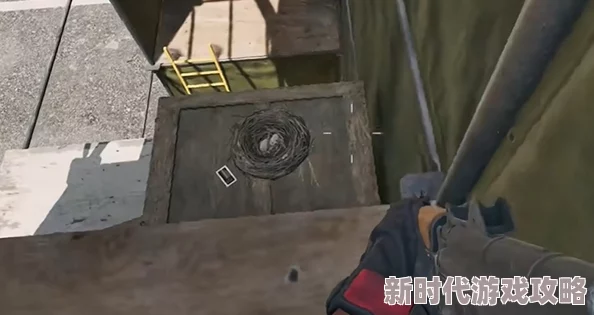 三角洲行动零号大坝鸟窝点位：网友热议的战术要地与隐藏彩蛋揭秘