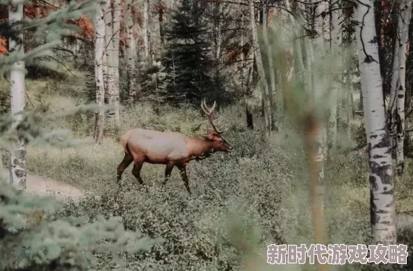 网友热议:怪物猎人冰原中哪位角色颜值更高?深度评价揭晓! 网友热议:怪物猎人冰原中哪位角色颜值更高?深度评价揭晓!