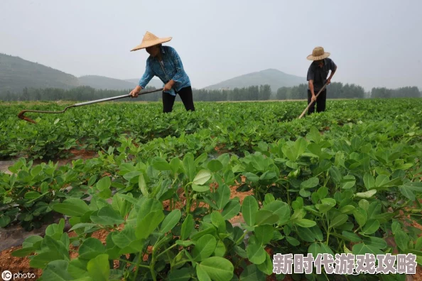 异环战斗机制全面解析：深度介绍其独特玩法，网友热议评价集锦