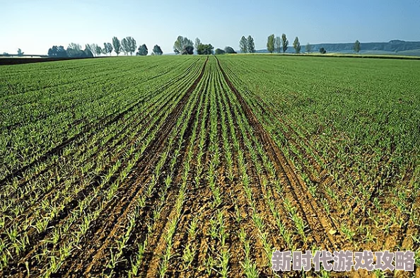 《模拟农场25》秋季种植作物推荐：网友热议高效作物选择攻略
