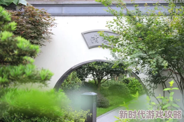 乡间拾趣夏日谈全攻略详解：网友热评版，解锁田园乐趣必备指南