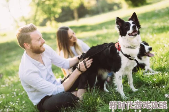 我的休闲时光新选择：高效带狗狗出游方法，网友热评实用攻略