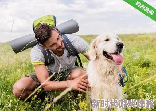 我的休闲时光新选择：高效带狗狗出游方法，网友热评实用攻略