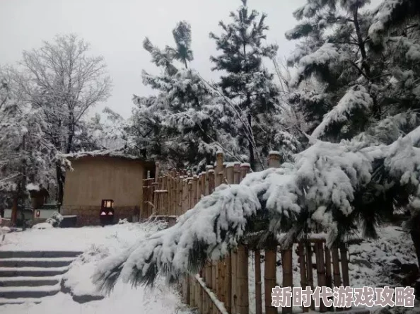 桃源深处有人家冰宇琼楼获取攻略：详解冰宇琼楼入手方法，网友热议实用技巧！