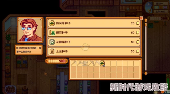 网友热议：星露谷物语中哪个超市购物最划算，性价比评价揭晓！