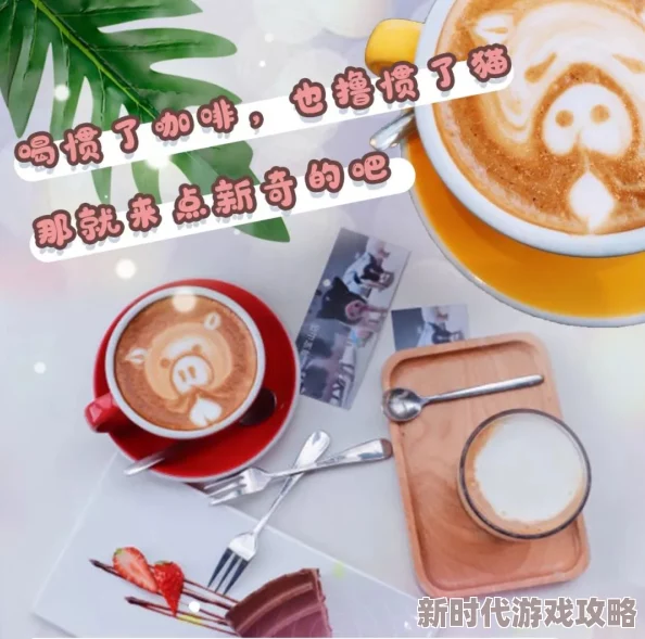 我的休闲时光:网友热评贴心暖咖制作秘籍,轻松学会DIY美味咖啡方法 我的休闲时光:网友热评贴心暖咖制作秘籍,轻松学会DIY美味咖啡方法