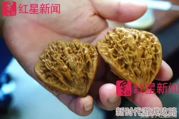 网友热评:机械兽超炫酷!开放世界生存游戏《荒野起源》玛卡图鉴全面介绍 网友热评:机械兽超炫酷!开放世界生存游戏《荒野起源》玛卡图鉴全面介绍