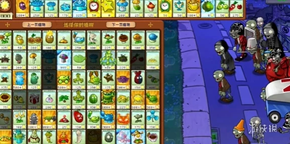 《pvz杂交版》英雄模式枪林弹雨通关全攻略：网友热评详解与技巧分享