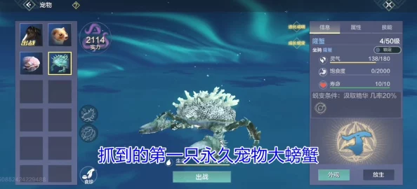 星海星石采集秘籍大公开！网友热评版〈妄想山海〉主题星石高效采集攻略