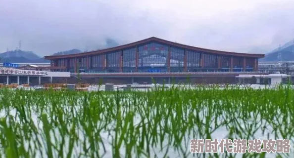 和平精英游戏飞机场探秘：火力对决中网友热评必刷直升机位置详解在哪？