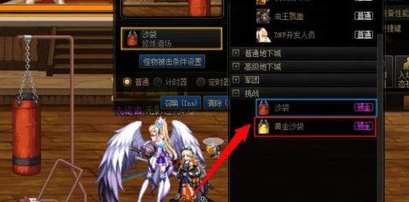 DNF打桩实测：玩家热议哪个沙袋最难挑战，专业评测揭晓答案！