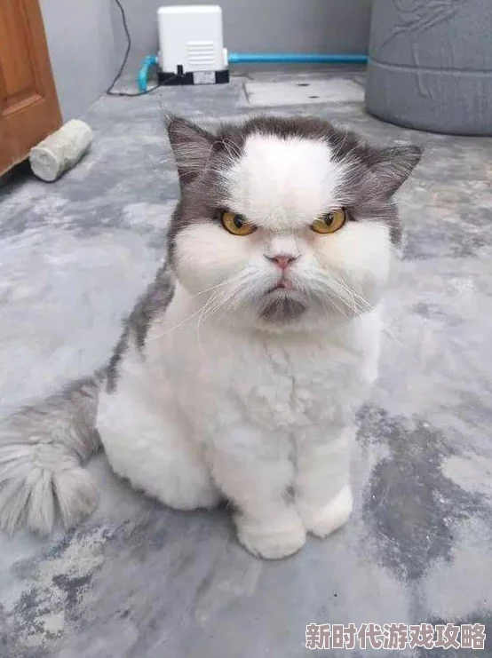 2024年回味经典！网友热评：不可错过的00后小时候手游合集与怀旧游戏大盘点