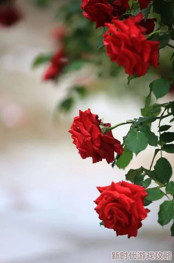 强奸出精品背后揭秘娱乐圈潜规则 强奸出精品背后揭秘娱乐圈潜规则