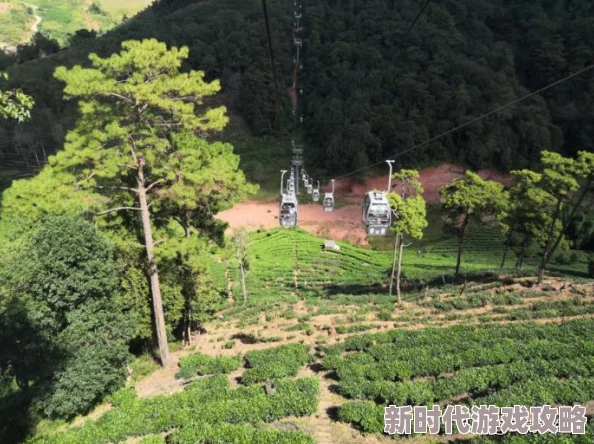 好好记住我在你体内的感觉每一次心跳都是生命的礼赞珍惜当下感受快乐与爱让我们一起迎接美好的未来 好好记住我在你体内的感觉每一次心跳都是生命的礼赞珍惜当下感受快乐与爱让我们一起迎接美好的未来