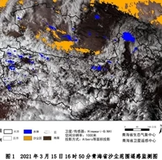 加勒比毛片最新研究发现其生态系统对气候变化的适应性较强