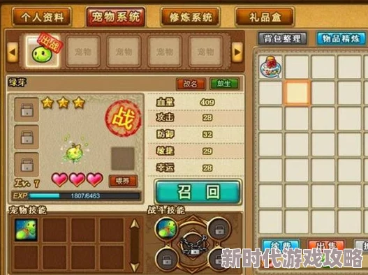 弹弹堂手游宠物选择指南：网友热议，哪个宠物最好用且实战性强？