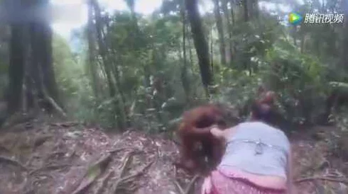 男女边摸边揉边做视频荒野追踪