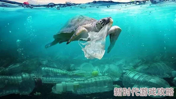 男人j进女人p的视频科学家发现新型细菌可降解塑料垃圾
