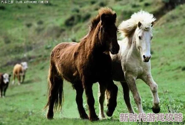 马背上粗大快速深入h限一路川囧