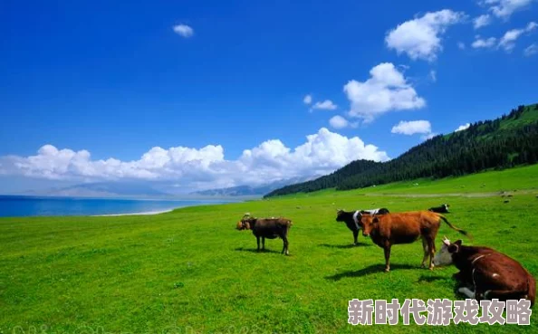 草社区一个充满生机与活力的自然景观,展现大自然的多样性与和谐共存 草社区一个充满生机与活力的自然景观,展现大自然的多样性与和谐共存