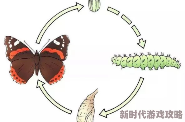 被公连续侵犯30分钟破茧成蝶 被公连续侵犯30分钟破茧成蝶