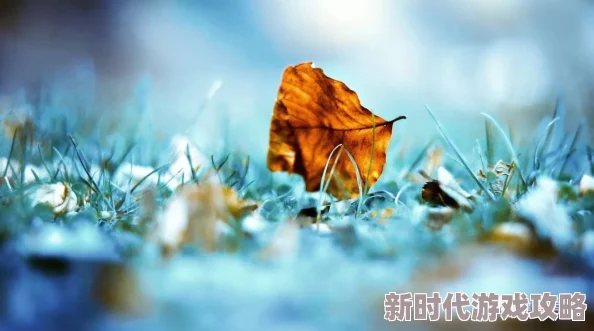 舒容老卫在逆境中保持心灵的宁静与坚韧
