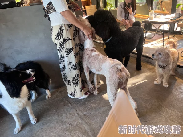 麻麻张开腿让我爽了一夜小区里新开了家宠物咖啡馆生意火爆