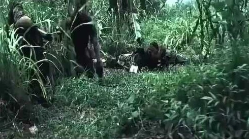 野战惊魂抢鲜看紧张刺激的丛林追逐,惊险万分的生死较量 野战惊魂抢鲜看紧张刺激的丛林追逐,惊险万分的生死较量