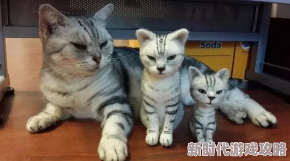 好紧我太爽了再快点喷水了最近在家养了一只可爱的猫咪，每天都陪着它玩耍
