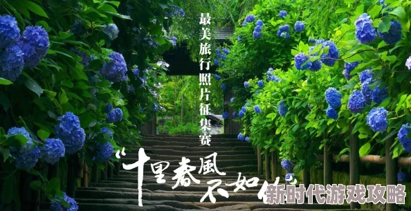小草资源在线观看视频春季赏花活动开始报名啦