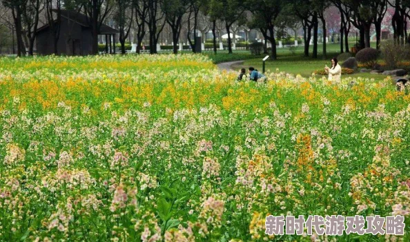 小草资源在线观看视频春季赏花活动开始报名啦