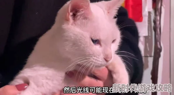 啊好痛嗯轻一点主人最近在学习编织手工艺品