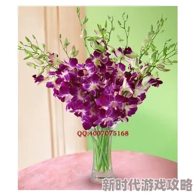 总统夫人法国满天星象征优雅与高贵气质的花卉代表 总统夫人法国满天星象征优雅与高贵气质的花卉代表