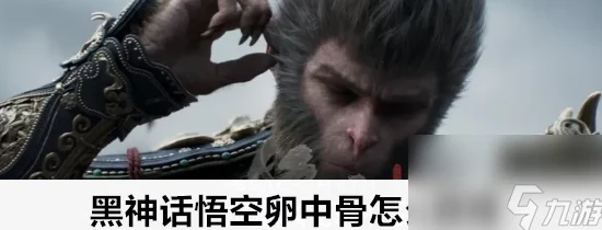 《黑神话：悟空》卵中骨获取攻略，网友热议高效解锁方法大揭秘！