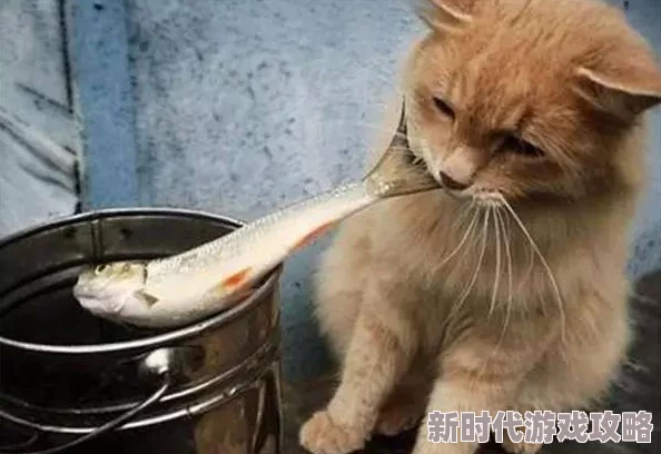 在线一级黄色片骑着鱼的猫